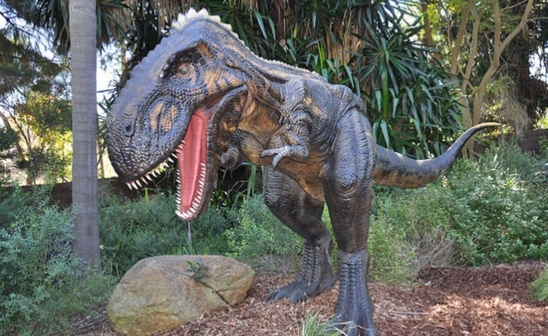 Dinosaur Exhibition in Shopping Centers