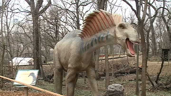 Brontosaurus,Apatosaurus,What,the,Difference