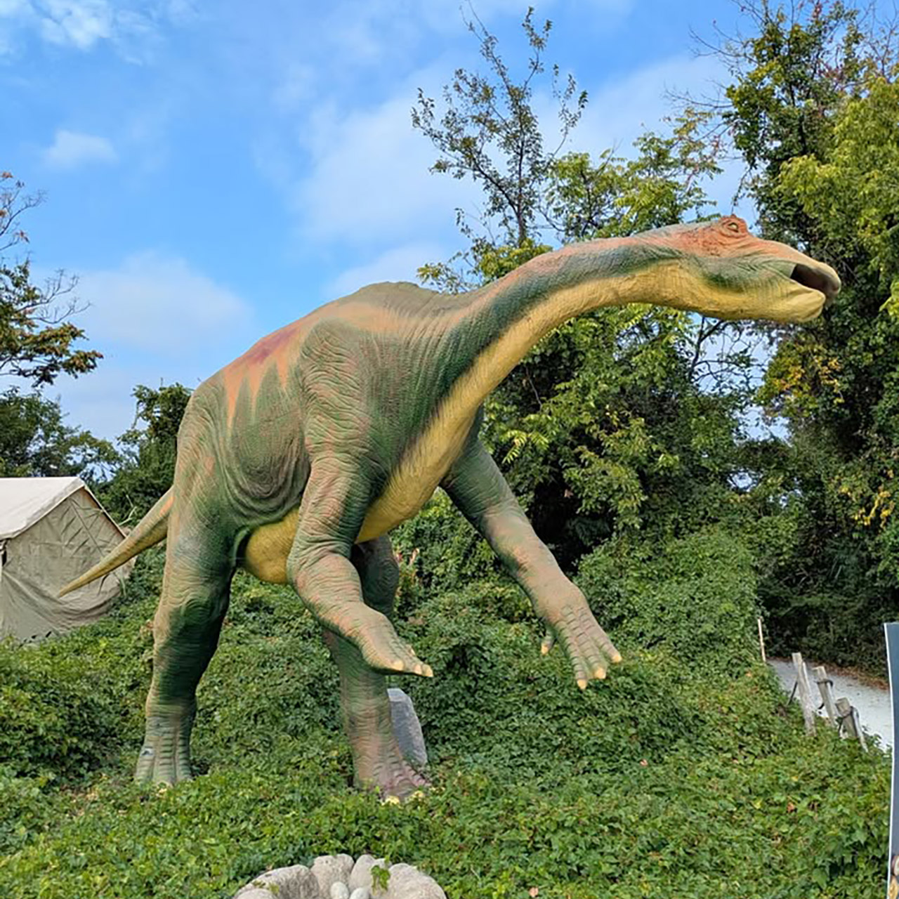 Dinosaur Exhibition in Shopping Centers