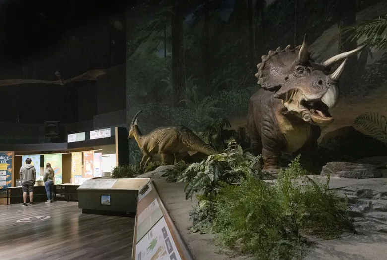 Dinosaur Exhibition in Shopping Centers