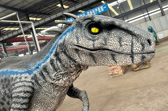 close-up of head details.jpg