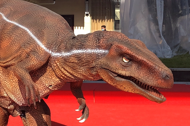 Clear skin texture Clear skin texture