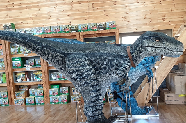 Keep the dinosaur skin clean and tidy.jpg