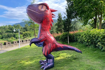 Plastic Inflatable Plastic Inflatable