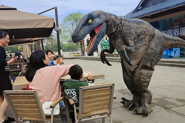 Textured Fiber Cloth & Sponge