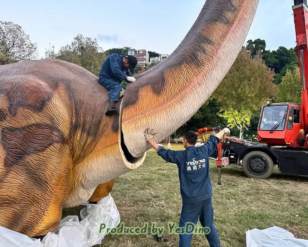 20m Brachiosaurus On-site Installation