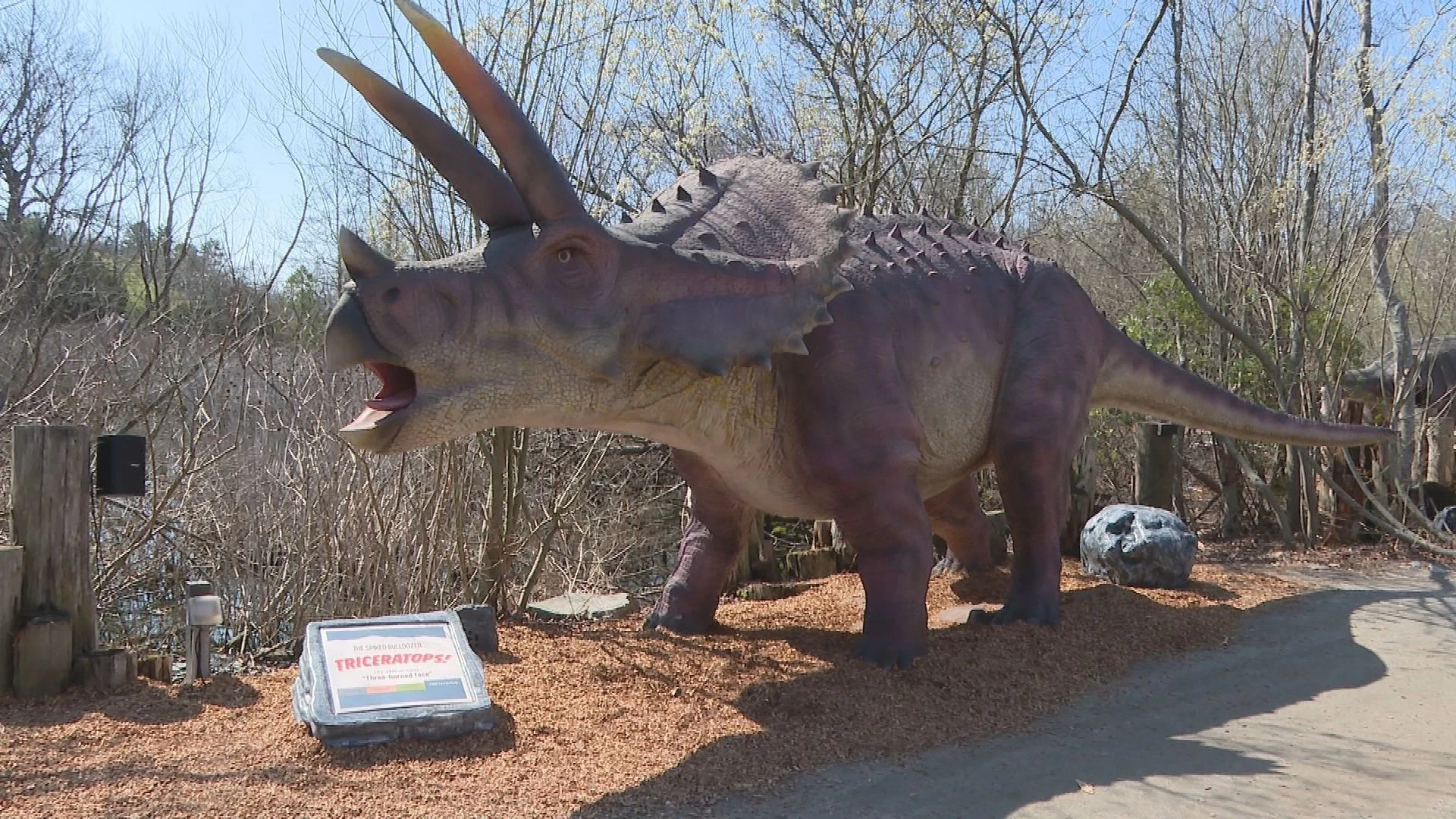 Dinosaur Exhibition in Shopping Centers