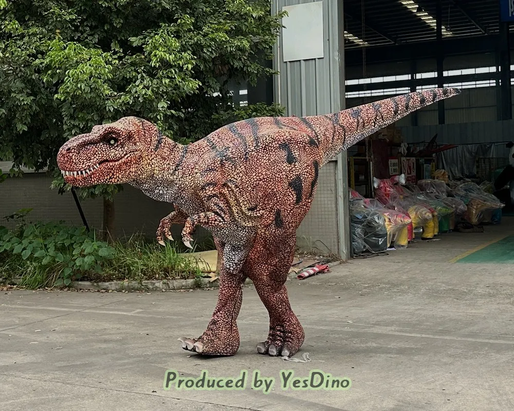 Product video images