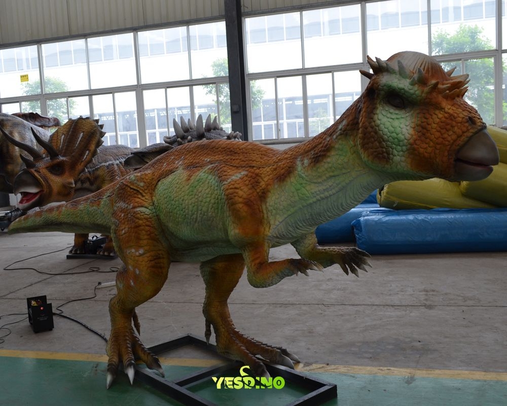 Commercial Animatronic Pachycephalosaurus Dinosaur Model for Tourist Attractions.jpg