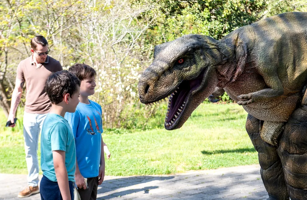 Interactive Dinosaur Landscapes