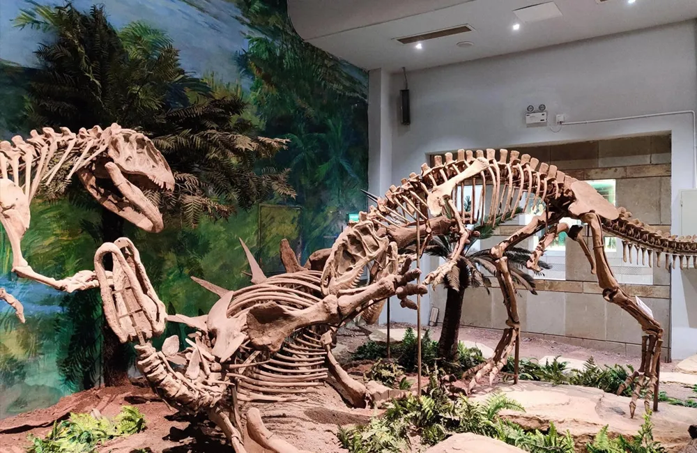 Fiberglass Dinosaur Fossil Skeletons