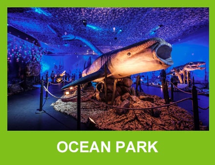 ocean park